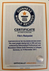 Guinness World Records Auszeichnung